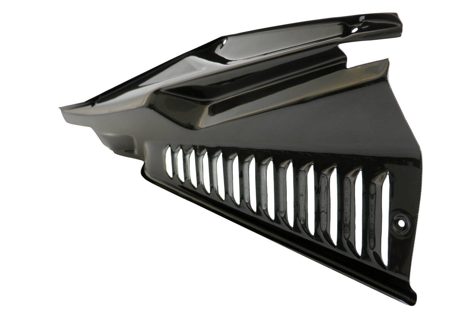 CARBON FIBER BODY PANELS